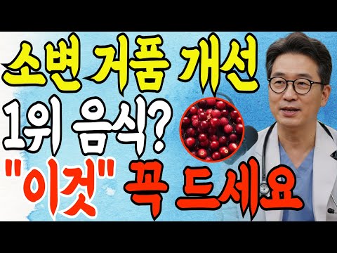 신장 건강 지키는 천연 음식 1위부터 3위까지! 소변 거품 개선하고 신장 활력 되찾기 | 신장병, 신부전증, 신장 건강, 콩팥 관리