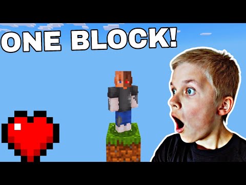 Minecraft But... its ONE BLOCK!