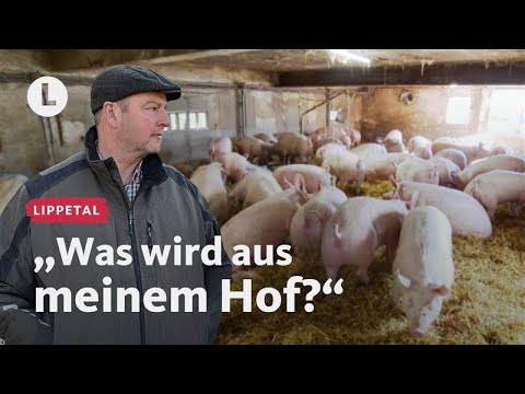 Wer übernimmt den Bauernhof? Die Suche nach dem Hofnachfolger | WDR Lokalzeit LandSchafft
