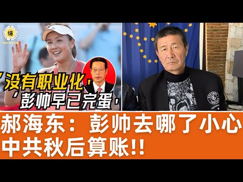 【郝海东】彭帅去哪了,小心中共秋后算账!没有职业化,彭帅早就完蛋了,不会有国际影响力... #郝海东 #彭帅 #张高丽 #网球 #足球