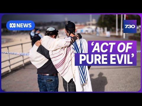 How the Bondi terror attack unfolded | 7.30