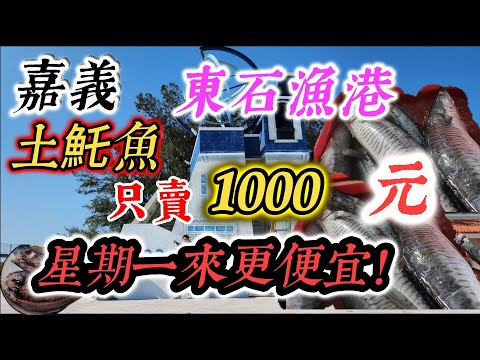 〔東石漁港〕老闆說〔土魠魚通通只賣1000元～〕，白帶魚便宜賣五公斤300元，竹莢魚一夜干冰箱製作法，祝大家蛇年新年快樂。／漁港／土魠魚／白北魚／肉魚／白帶魚／台語