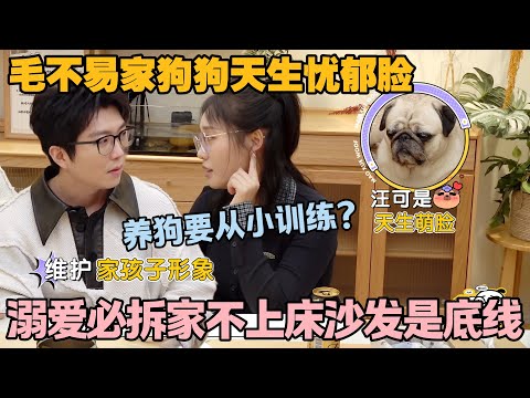 【毛雪汪 第137期加更】：毛雪汪吐槽养宠：除了猫狗，其他动物互动性全是坑#李雪琴 #毛不易 #毛雪汪