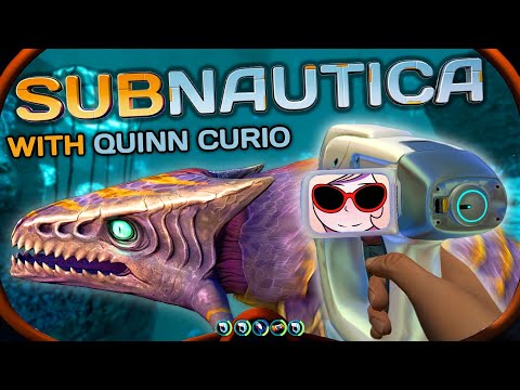 💦 Water we gonna do? Dive deeper! 💦 | Quinn Curio