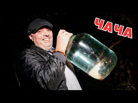 CHACHA from grapes - The best recipe from Georgia!