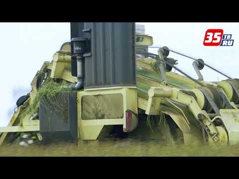 Как идёт уборка льна в Вологодской области