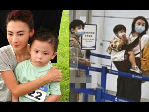 三胎儿子抢张柏芝镜头，对着镜头飙英语，网友惊呼：这是2岁的娃