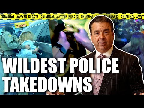 Criminal Lawyer Reacts to Wild Police Takedowns