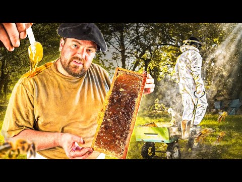 My bees' honey is so dark this year 🐝🍯