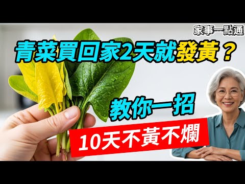 剛買的青菜2天就爛？因為你少了這關鍵一步！難怪錢都白花了。