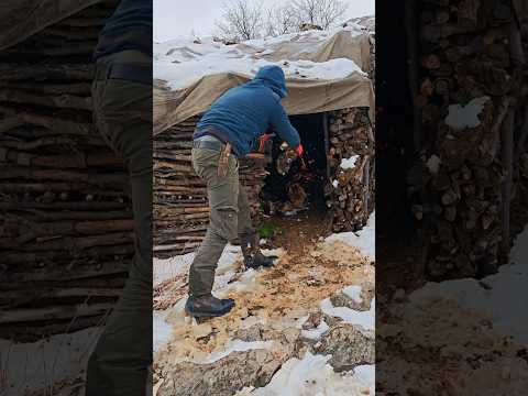 Bushcraft Survival Shelter Under Rock #camping #survival #winter
