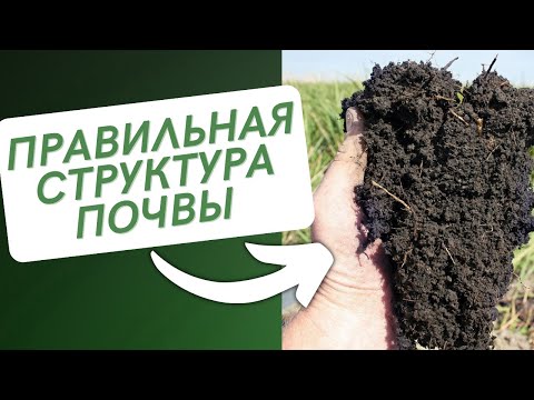 Как УЛУЧШИТЬ Структуру Почвы.
