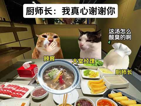 厨师长：我真心谢谢你 #猫meme  #猫meme小剧场 #猫meme剧场 #内容过于真实 #搞笑