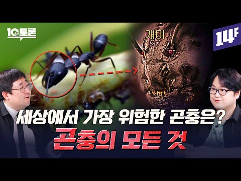 거머리 피 빨아먹는 모기? 타르 먹고사는 파리? 곤충의 모든 것 (갈로아X곽재식)ㅣ10분 토론 / 14F