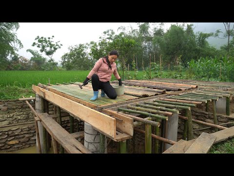 Finally! I started building my own house / Bamboo and iron beam construction to pouring foundation