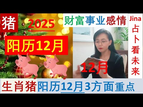 生肖猪🐖阳历12月/25🌞新家 , 新环境, 争取的过程🍀财富/事业/感情/宇宙的指引, 3个方面重点🍀