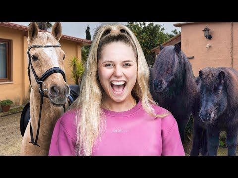 Mit den Pferden nach Mallorca #3 - DIE ANKUNFT