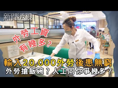 香港輸入勞工計劃對本地工人的影響 澳門經驗香港可借鑑？｜新聞 | 時事 | 資訊節目 | 新聞透視｜News Magazine
