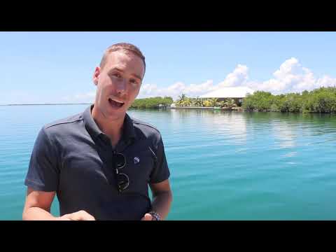Luxury Private Island Estate in Belize for Sale