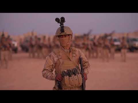 Saudi victory over UAE in Yemen means paying seperatists' salaries