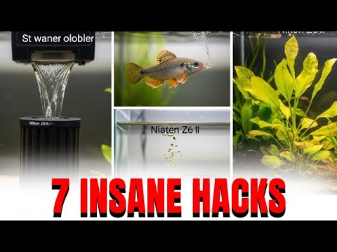 7 Hacks That Changed My Aquarium Forever