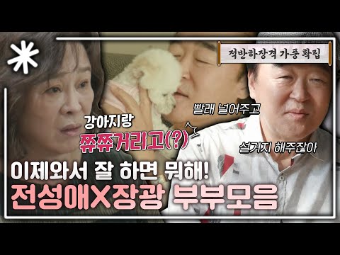 [동치미_모든순간] '이제 와서 잘 해주면 뭐 해!?' 전성애 X 장광 부부 모음｜#동치미_모든순간