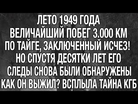 3000 КМ ЧЕРЕЗ ТАЙГУ: Заключённый, Который Совершил НЕВОЗМОЖНОЕ