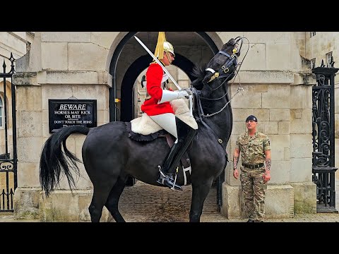HUGE HORSE QUITS SIX TIMES as POLICE, GUARDS, TROOPER and tourists look on at Horse Guards!