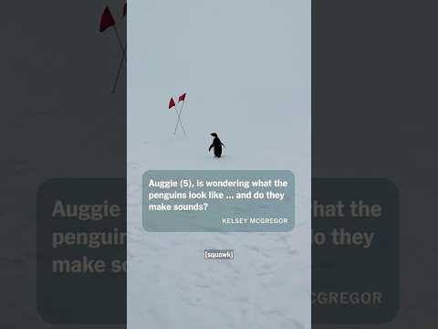 What Does Antarctica Sound Like? And More | Journey to Antarctica: Part 14