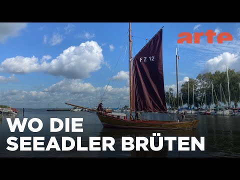 Unterwegs am Stettiner Haff | ARTE Fernweh