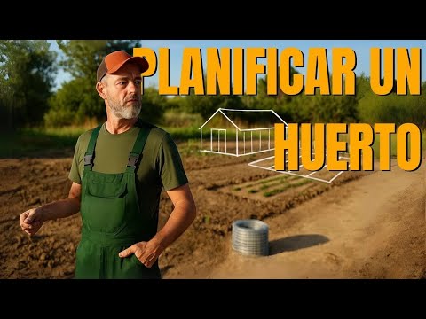 It's starting to take shape! How to plan the perfect garden from scratch (and avoid mistakes)