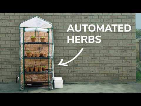 All This… Just So I Don’t Have to Buy Herbs