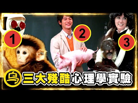 这个无比残忍的实验，毁掉几代生命，却也拯救了千万家庭...1小时无广告合集  [脑洞乌托邦 | 小乌副频道 | 小乌 TV ]