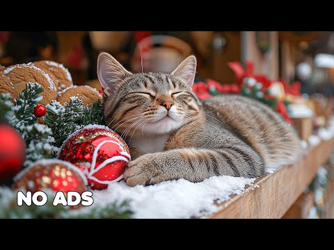 12 Hours Of Peaceful Music for Cats 🐈 😻 Dreamy Ambient Vibes No Ads for Stress Relief 🐾 Cat TV
