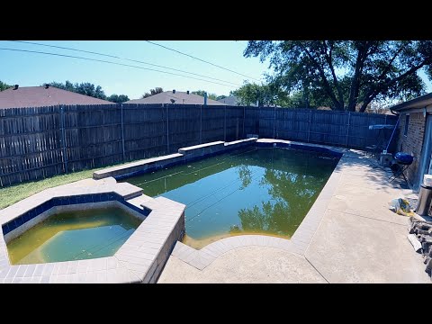 OVER 100LBS OF LEAVES IN THIS POOL! GREEN TO CLEAN POV