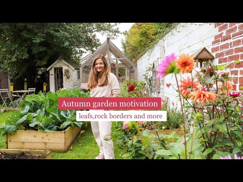 Garden motivation, leaf tidy, border edging and some satisfying Autumn garden cleaning