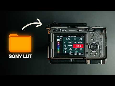 Custom LUTs On Your Sony Camera | Complete Workflow