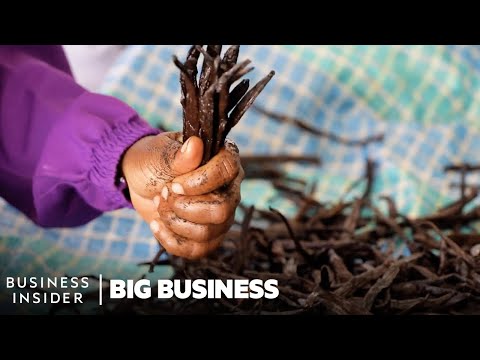 Vanilla Is The 2nd Most Expensive Spice. So Why Do Madagascar's Farmers Live In Poverty?