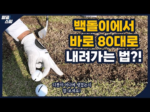 탈골스윙- 90대는 거치지도 않고 내려가는 타수! 골프가 재밌어 집니다