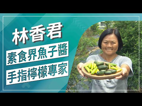 草地狀元~酸甜素食魚卵 手指檸檬專家(20200817播出)