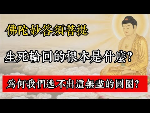 佛陀妙答須菩提：生死輪迴的根本是什麼？為何我們逃不出這無盡的圓圈？#佛教 #佛家 #佛法 #佛學知識 #佛學智慧 #修心修行 #佛教文化