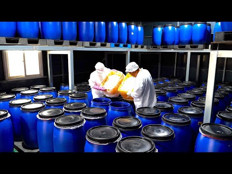 EXTREME! 1000 DAYS of Fermentation to Make Korean Chili Sauce (Gochujang) | Korea Factory