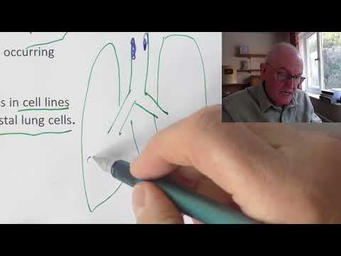 Boston gain of function virus