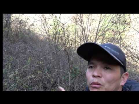 【陝西】探索秦嶺腹地：在深山裡发现孤寂的原始人家