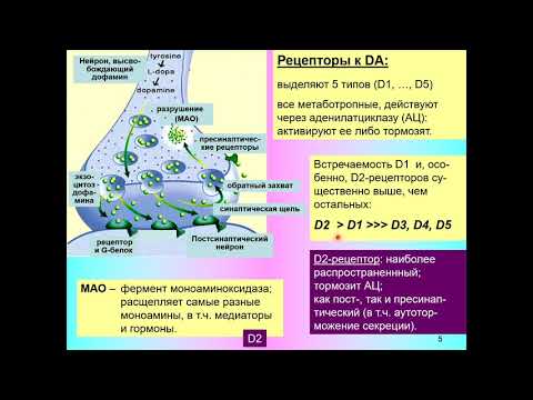 Дубынин В. А. - Химия мозга - 7. Дофамин
