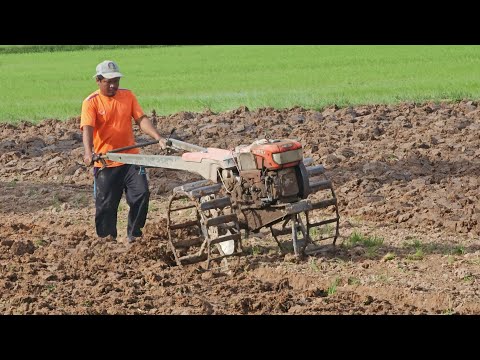 Farmer plowing the land 😍🌾 