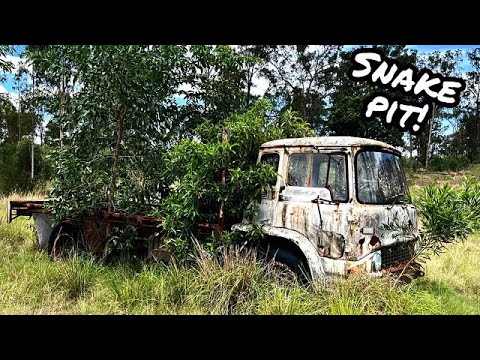 Will it START? OLD Truck Sitting for 20+ YEARS in the Australian BUSH!