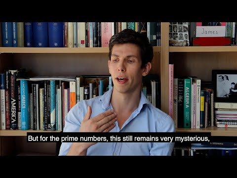 Fields Medal winner James Maynard in conversation