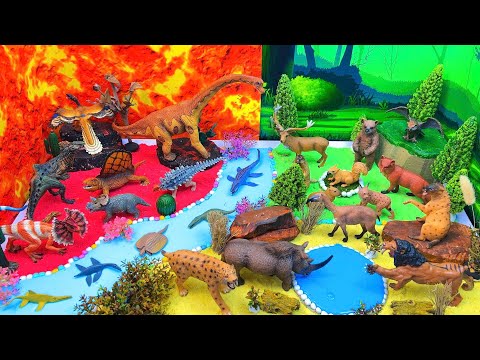 Explore the Colorful Animal World πβοΈπ₯ | Forests, Grasslands & Volcanoes