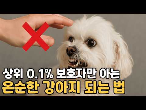 Never Do This! 10 Things That Destroy Your Dog's Personality